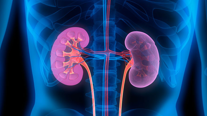 Chronic Kidney Disease