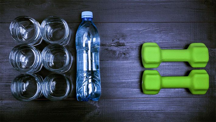 Metabolism