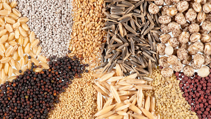 Seeds