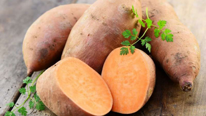 Sweet Potato