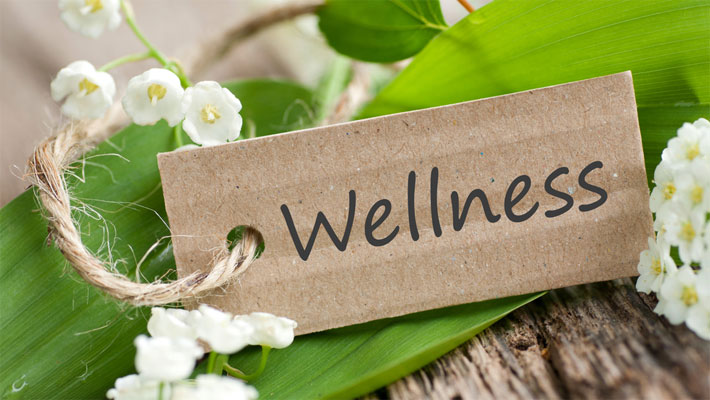 Wellness